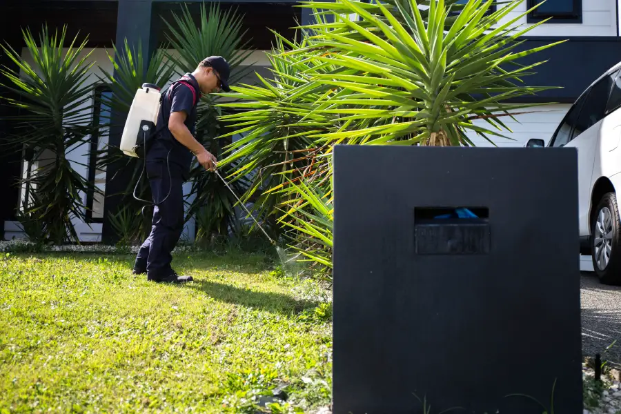 Local Pest Control Company Lynnwood WA