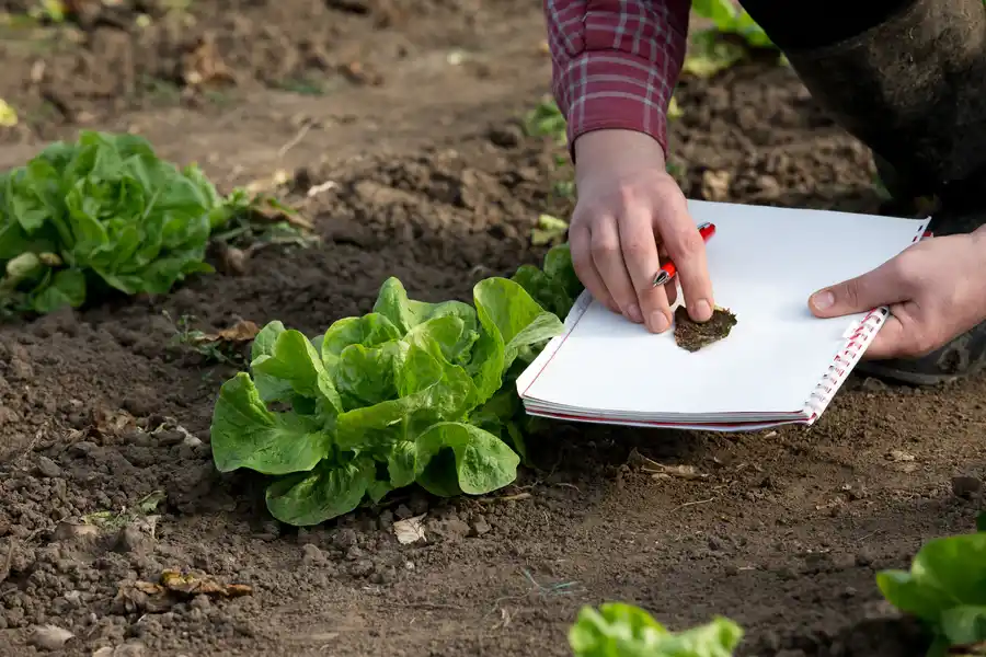 Soil Testing