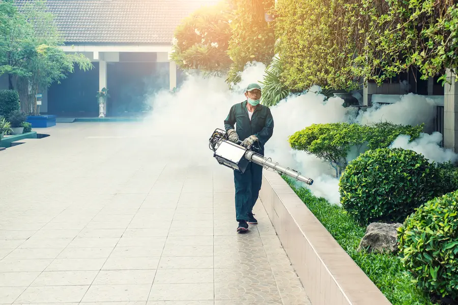 Common Pest Problems And How Professional Services Solve Them Lynnwood, WA