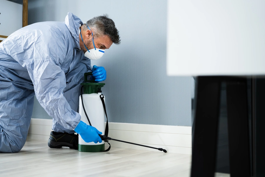 Experienced Pest Inspection Lynnwood, WA