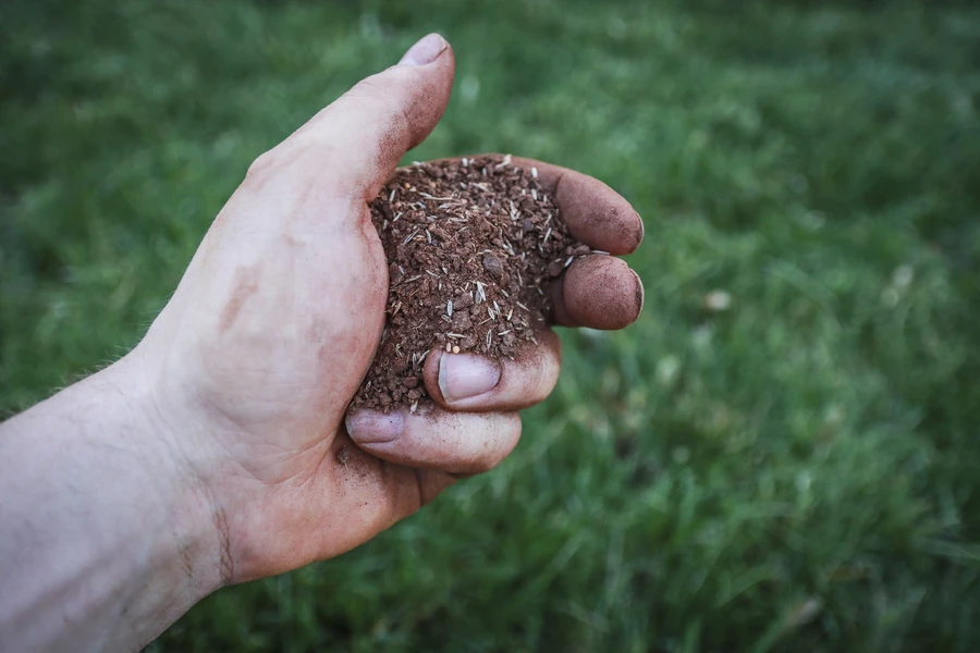 How Poor Soil Conditions Attract Unwanted Pests Lynnwood, WA