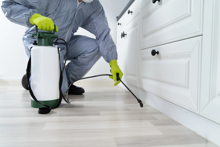 Preparing Your Home For A Pest Control Inspection in Lynnwood, WA