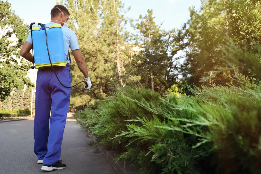 Reputable Pest Management Lynnwood, WA