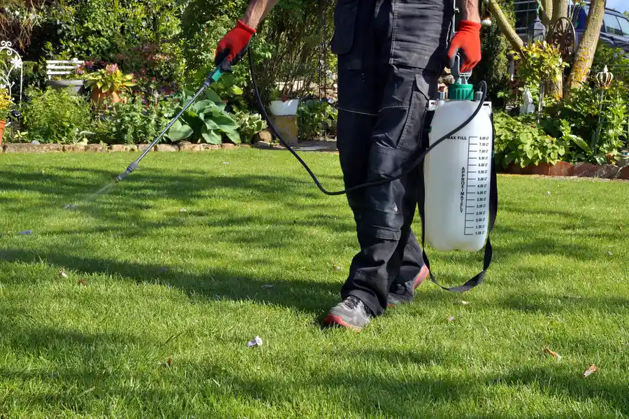 The Role Of Soil Health In Weed And Pest Control in Lynnwood, WA