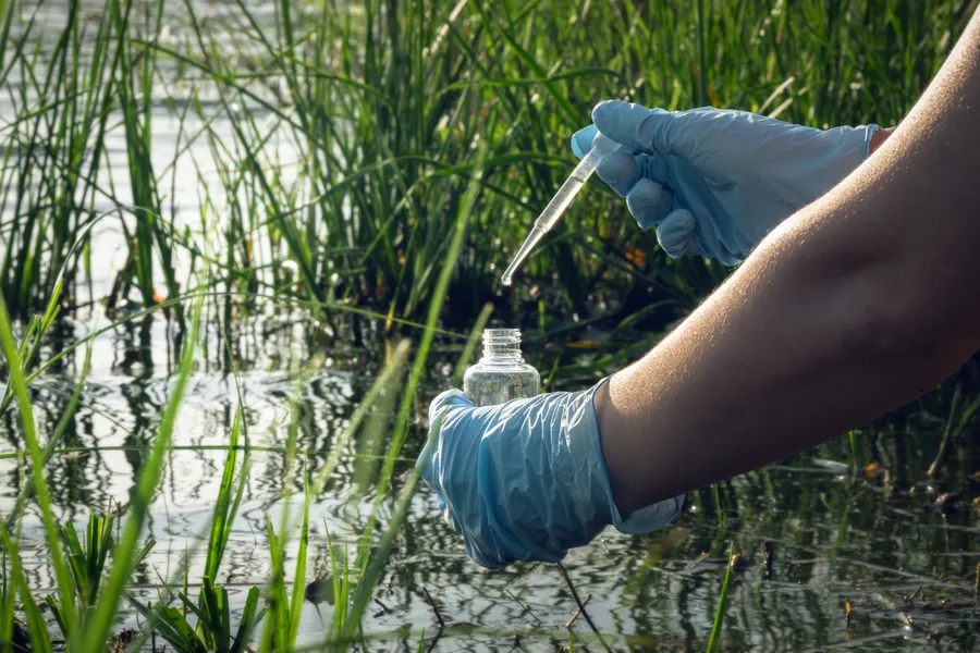 Why Diy Pest Control May Not Be Enough For Lasting Results in Lynnwood, WA
